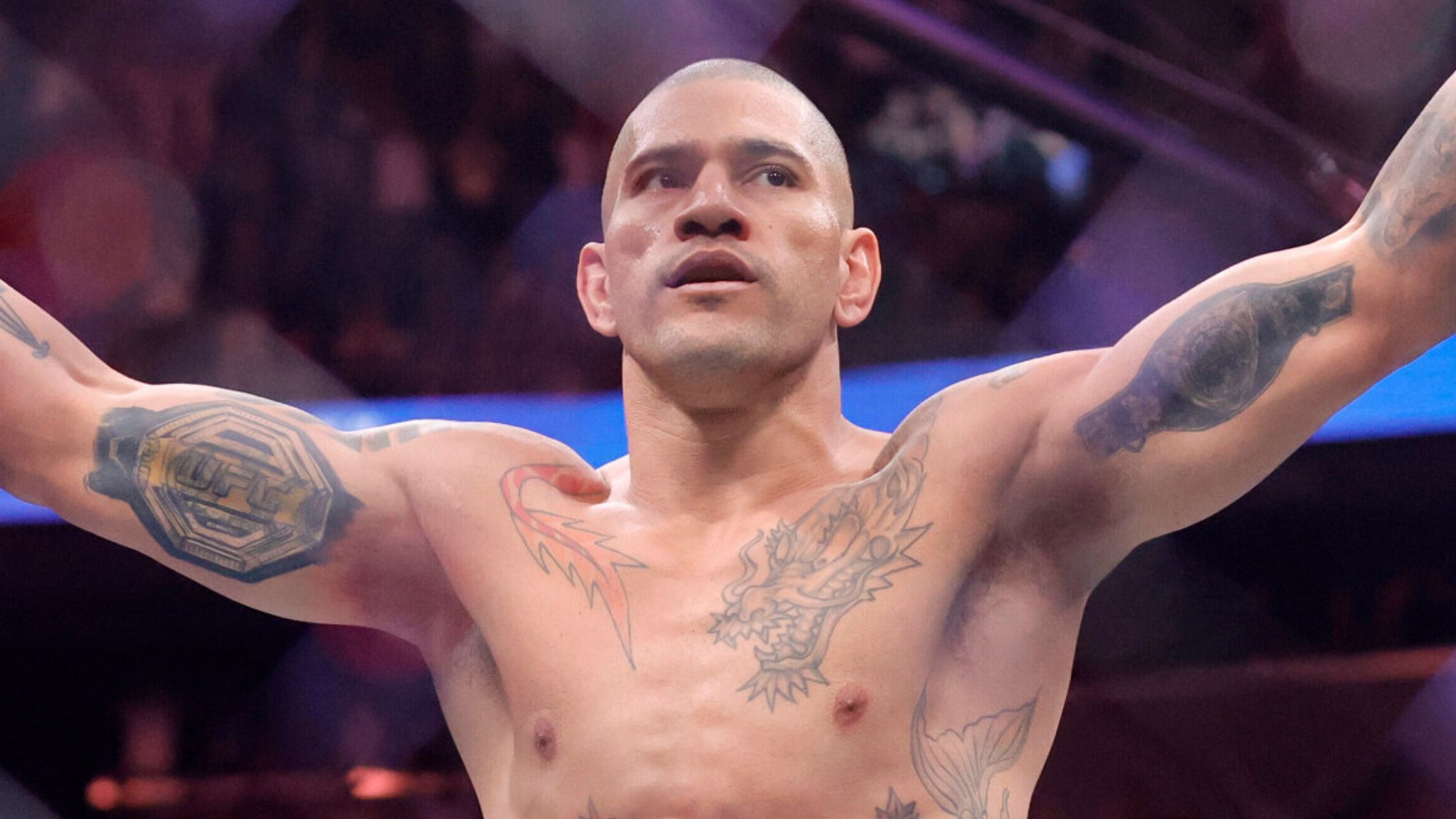 Fantasy MMA Tipps für Anfänger